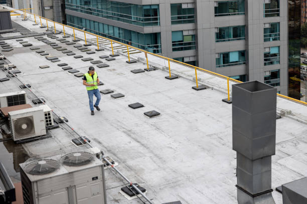Best Skylight Installation and Repair  in Cutten, CA