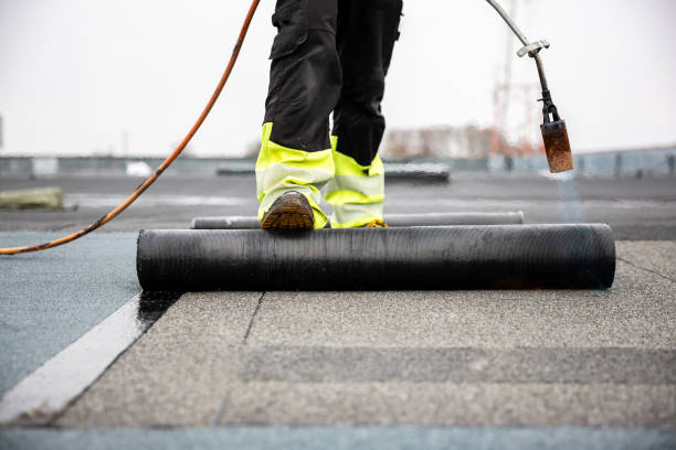 Best Metal Roofing Installation  in Cutten, CA